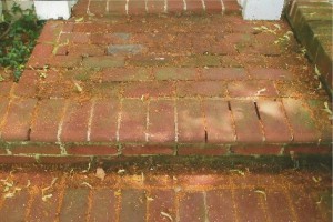 brick steps before repair